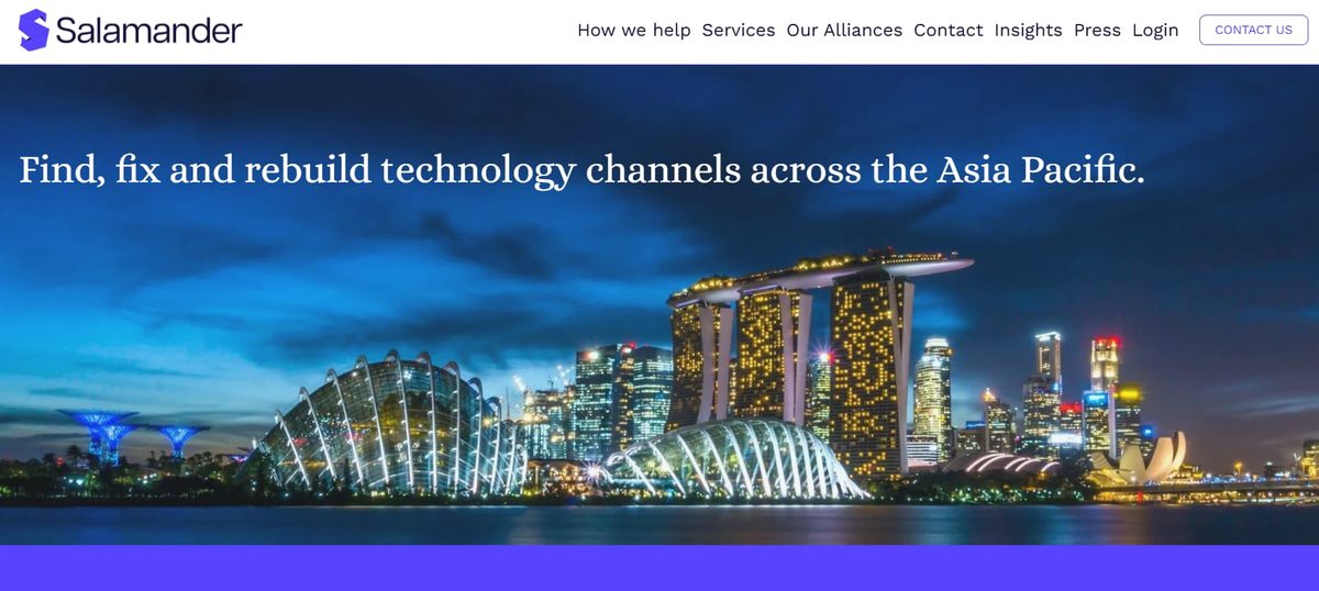 Salamander Advisory homepage